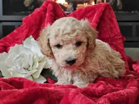 processed/b2c8a5ab-a85d-4975-92e4-a70215ce169d/listing/eadfa711-3328-494c-863a-25cbca929f9e/9a8f9cc5-fa9b-4e2d-8444-e5343d679ebb