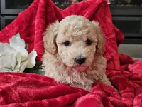 processed/b2c8a5ab-a85d-4975-92e4-a70215ce169d/listing/eadfa711-3328-494c-863a-25cbca929f9e/bd0f30a0-f90f-4292-aa4b-cf667b3b6543