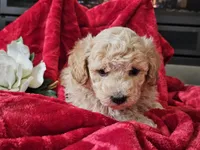 processed/b2c8a5ab-a85d-4975-92e4-a70215ce169d/listing/eadfa711-3328-494c-863a-25cbca929f9e/d6f5278b-9871-4cb5-b3bc-446d54fd7a04