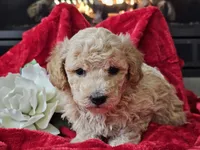 processed/b2c8a5ab-a85d-4975-92e4-a70215ce169d/listing/eadfa711-3328-494c-863a-25cbca929f9e/e24ec0e3-cdff-4c5a-8842-2f81a40afc7f