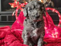 processed/b2c8a5ab-a85d-4975-92e4-a70215ce169d/listing/eec9c374-16c7-4cbd-a9f1-a3ff03e70885/0621c36e-69b7-48de-b99a-1947bcf41605