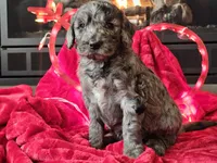 processed/b2c8a5ab-a85d-4975-92e4-a70215ce169d/listing/eec9c374-16c7-4cbd-a9f1-a3ff03e70885/2e8bde83-5575-48aa-89e9-bd3992b60dda