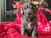 processed/b2c8a5ab-a85d-4975-92e4-a70215ce169d/listing/eec9c374-16c7-4cbd-a9f1-a3ff03e70885/2f4eb668-d65f-4af0-a894-cb8edc4a4d96