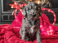 processed/b2c8a5ab-a85d-4975-92e4-a70215ce169d/listing/eec9c374-16c7-4cbd-a9f1-a3ff03e70885/3fb891a8-1269-4817-b255-09843f3186f7