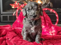 processed/b2c8a5ab-a85d-4975-92e4-a70215ce169d/listing/eec9c374-16c7-4cbd-a9f1-a3ff03e70885/9781c646-2eb5-4afb-9e59-bdb11eb333f4