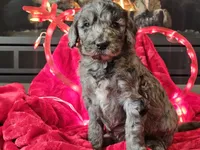 processed/b2c8a5ab-a85d-4975-92e4-a70215ce169d/listing/eec9c374-16c7-4cbd-a9f1-a3ff03e70885/a4c54e3a-68b9-416f-9f00-093f85c4aabd