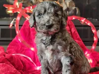 processed/b2c8a5ab-a85d-4975-92e4-a70215ce169d/listing/eec9c374-16c7-4cbd-a9f1-a3ff03e70885/c3dc176f-6a26-4e26-94e8-a9b788474f03