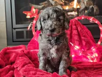 processed/b2c8a5ab-a85d-4975-92e4-a70215ce169d/listing/eec9c374-16c7-4cbd-a9f1-a3ff03e70885/f0fc1802-221d-4948-a67a-6ec7f3e06436