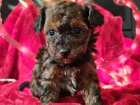 processed/b2c8a5ab-a85d-4975-92e4-a70215ce169d/listing/ef7fe47e-ae55-4141-b71b-4cfa73dfd0b2/002fe957-5437-4604-88dc-9cd7d1994a14