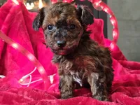 processed/b2c8a5ab-a85d-4975-92e4-a70215ce169d/listing/ef7fe47e-ae55-4141-b71b-4cfa73dfd0b2/110f8b61-1505-484b-b3ee-a83d665ece72