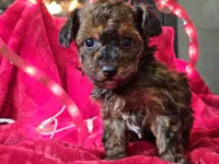 processed/b2c8a5ab-a85d-4975-92e4-a70215ce169d/listing/ef7fe47e-ae55-4141-b71b-4cfa73dfd0b2/20ed6e39-621c-47e1-b60e-0bc363bbc626