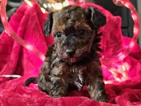 processed/b2c8a5ab-a85d-4975-92e4-a70215ce169d/listing/ef7fe47e-ae55-4141-b71b-4cfa73dfd0b2/2fe3c156-f726-472a-bfd4-c697ec668c43