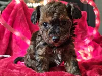 processed/b2c8a5ab-a85d-4975-92e4-a70215ce169d/listing/ef7fe47e-ae55-4141-b71b-4cfa73dfd0b2/490e630d-ee26-4887-a7f6-9b0f1a3c3183