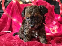 processed/b2c8a5ab-a85d-4975-92e4-a70215ce169d/listing/ef7fe47e-ae55-4141-b71b-4cfa73dfd0b2/58a478f3-f508-472d-960a-671ff093738e