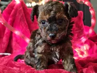 processed/b2c8a5ab-a85d-4975-92e4-a70215ce169d/listing/ef7fe47e-ae55-4141-b71b-4cfa73dfd0b2/5de17339-635a-464d-a001-f01ac849777f