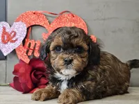 processed/b2c8a5ab-a85d-4975-92e4-a70215ce169d/listing/f45995da-3ba5-42fa-a8c7-be96046f3479/5103eebe-e565-4e9d-9436-80fbb010f3bc