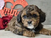 processed/b2c8a5ab-a85d-4975-92e4-a70215ce169d/listing/f45995da-3ba5-42fa-a8c7-be96046f3479/6f62bc67-f261-44cb-9e1d-475238bc63ad