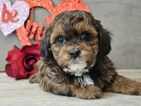 processed/b2c8a5ab-a85d-4975-92e4-a70215ce169d/listing/f45995da-3ba5-42fa-a8c7-be96046f3479/a54878e2-49fd-4be1-86cb-dbb3db47e76b