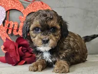 processed/b2c8a5ab-a85d-4975-92e4-a70215ce169d/listing/f45995da-3ba5-42fa-a8c7-be96046f3479/ae97b714-038a-493a-8ef0-dcd65c8bd21a