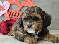 processed/b2c8a5ab-a85d-4975-92e4-a70215ce169d/listing/f45995da-3ba5-42fa-a8c7-be96046f3479/b7eb7505-1ddd-49f5-a3eb-a686900e2905