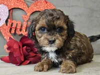 processed/b2c8a5ab-a85d-4975-92e4-a70215ce169d/listing/f45995da-3ba5-42fa-a8c7-be96046f3479/e693450c-e527-4904-a73d-45e0e2e2541a