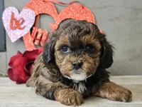 processed/b2c8a5ab-a85d-4975-92e4-a70215ce169d/listing/f45995da-3ba5-42fa-a8c7-be96046f3479/f9096627-ed75-4a9a-bc7a-225c3eea326a