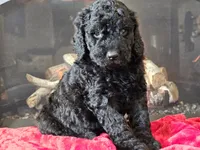 processed/b2c8a5ab-a85d-4975-92e4-a70215ce169d/listing/f6505c7d-74e7-410a-a398-45a0da201ab3/2e54cf8d-7260-4d31-bf4a-37bc43f76abe