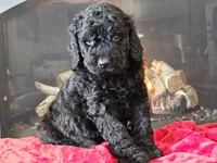 processed/b2c8a5ab-a85d-4975-92e4-a70215ce169d/listing/f6505c7d-74e7-410a-a398-45a0da201ab3/686dbd60-a83d-4ad3-b049-ce436d82cbe6