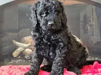 processed/b2c8a5ab-a85d-4975-92e4-a70215ce169d/listing/f6505c7d-74e7-410a-a398-45a0da201ab3/9bcc2eff-cd65-4bc4-87bc-2a2b9b587f9e