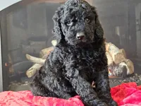 processed/b2c8a5ab-a85d-4975-92e4-a70215ce169d/listing/f6505c7d-74e7-410a-a398-45a0da201ab3/ae6fb78b-73aa-4804-a681-2dda9c1d179f