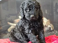 processed/b2c8a5ab-a85d-4975-92e4-a70215ce169d/listing/f6505c7d-74e7-410a-a398-45a0da201ab3/e4548dc2-bc44-45b3-86f3-baf5ef8227b7