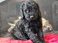 processed/b2c8a5ab-a85d-4975-92e4-a70215ce169d/listing/f6505c7d-74e7-410a-a398-45a0da201ab3/e6c4da04-0702-4a2c-a276-360cc4e4544f