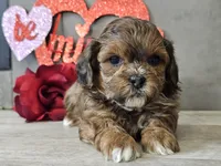 processed/b2c8a5ab-a85d-4975-92e4-a70215ce169d/listing/f75beb1d-9d93-46f9-a227-424bac450919/685707b6-c2ae-4311-87d8-a5b7d94cb610