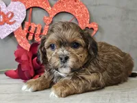 processed/b2c8a5ab-a85d-4975-92e4-a70215ce169d/listing/f75beb1d-9d93-46f9-a227-424bac450919/70f6113b-53b5-48e6-be0d-303a42d281c8