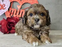 processed/b2c8a5ab-a85d-4975-92e4-a70215ce169d/listing/f75beb1d-9d93-46f9-a227-424bac450919/72ded6cd-96f5-4f15-b1b2-7758a8e1502a