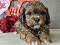 processed/b2c8a5ab-a85d-4975-92e4-a70215ce169d/listing/f75beb1d-9d93-46f9-a227-424bac450919/91a72f9a-4930-47b6-b774-370c381f51a4