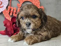 processed/b2c8a5ab-a85d-4975-92e4-a70215ce169d/listing/f75beb1d-9d93-46f9-a227-424bac450919/fb7d2b24-4e5e-4177-89e2-b08c1a871ce4