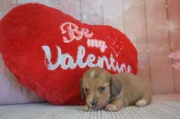 processed/b2cec3dc-f9b0-43e6-952b-ede847add5d4/listing/5fc424d6-177a-478b-a887-6a79f8fca0db/15111559-67a9-421c-86eb-f3e18af490e3