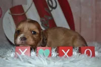 processed/b2cec3dc-f9b0-43e6-952b-ede847add5d4/listing/5fc424d6-177a-478b-a887-6a79f8fca0db/2c930a95-a4b4-4357-bab1-7efdf3f5ca82