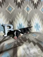 processed/b2d56a47-07be-4e9a-8f74-6c9eb812546e/listing/3f7fe25b-b3af-4167-b139-0bacecdb7f3b/1a367361-2eb3-47c7-a368-dd73d5e67d9e