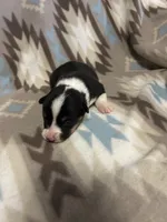 processed/b2d56a47-07be-4e9a-8f74-6c9eb812546e/listing/3f7fe25b-b3af-4167-b139-0bacecdb7f3b/23ff7130-e5d9-4923-9983-4e166ff6b27c