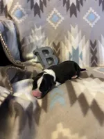 processed/b2d56a47-07be-4e9a-8f74-6c9eb812546e/listing/3f7fe25b-b3af-4167-b139-0bacecdb7f3b/50075eee-fb29-40ac-beed-967954baa6ce