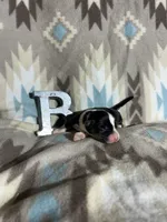 processed/b2d56a47-07be-4e9a-8f74-6c9eb812546e/listing/3f7fe25b-b3af-4167-b139-0bacecdb7f3b/65b5e0f4-5bff-4f0a-96e8-33a9660e73d2