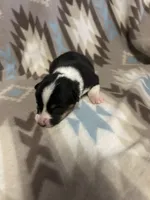 processed/b2d56a47-07be-4e9a-8f74-6c9eb812546e/listing/3f7fe25b-b3af-4167-b139-0bacecdb7f3b/66042992-cfc6-496f-a13b-1335f503d3e5