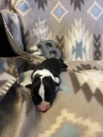 processed/b2d56a47-07be-4e9a-8f74-6c9eb812546e/listing/3f7fe25b-b3af-4167-b139-0bacecdb7f3b/8b62d201-64a5-48eb-8b00-1fabac6208db