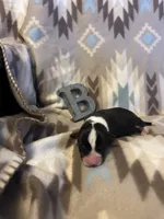 processed/b2d56a47-07be-4e9a-8f74-6c9eb812546e/listing/3f7fe25b-b3af-4167-b139-0bacecdb7f3b/911f0651-2ad3-4686-a8c5-7f888d621452