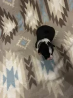 processed/b2d56a47-07be-4e9a-8f74-6c9eb812546e/listing/3f7fe25b-b3af-4167-b139-0bacecdb7f3b/adb05239-c3ff-4f1c-adf5-c23ae9b2efc2