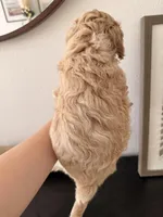 processed/b2d654e3-29be-4519-8cf1-fc214f5bbd38/listing/44896893-38ea-4288-b7af-019679b417c3/84aade4a-47e0-4947-ab56-a0e1939cbf48