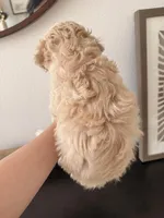 processed/b2d654e3-29be-4519-8cf1-fc214f5bbd38/listing/56999082-174b-41a8-89b7-ff8c78bbe630/38a5e914-b169-4878-9669-4fa237fe1f1e