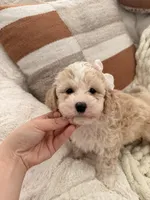 processed/b2d654e3-29be-4519-8cf1-fc214f5bbd38/listing/73862f50-e9f5-4ef1-925c-3e1fa9066b5f/4c738489-51aa-4556-8025-8c2029bb3fe4